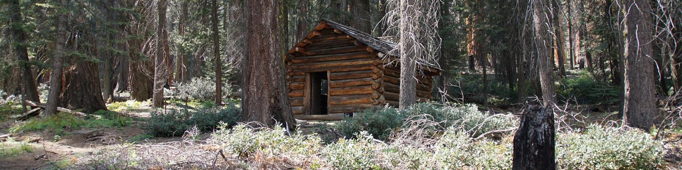 5242_Squatters-Cabin_Sequoia-NP