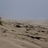 South-Jetty-Beach_Oregon-Dunes