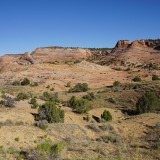Zebra-Canyon-Trail