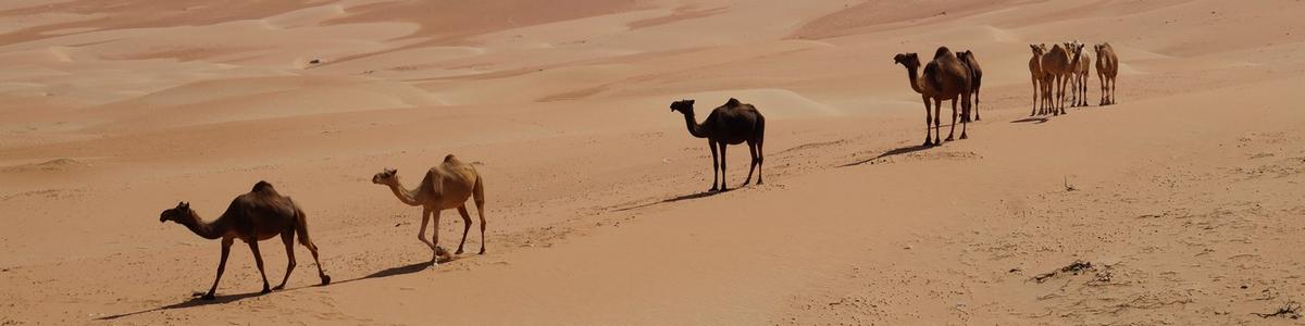 6644_Liwa-Oase_Rub al-Chali-Desert