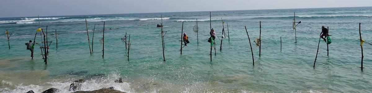 6814_stilt-fishermen_Sri-Lanka