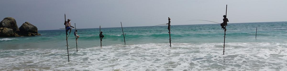 6836_stilt-fishermen_Sri-Lanka