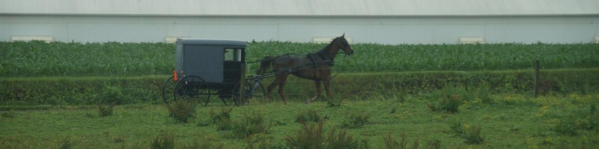 4921_Lancester_Amish-Country