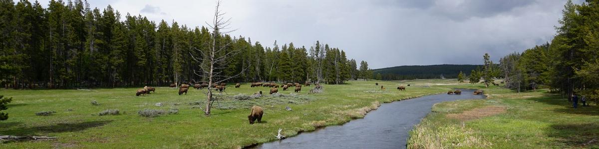 2786_Yellowstone-NP