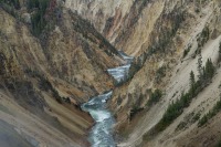 Grand-Canyon-of-Yellowstone