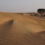 Wahiba-Sands