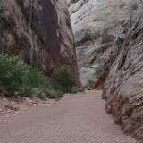 Gorge-Trail_Capitol-Reef-NP