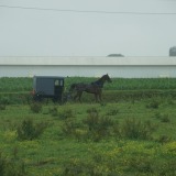 Lancester_Amish-Country