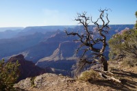 Grand-Canyon_NP