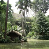 Rio - Botanischer Garten