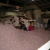 Nuwora Eliya-Labookellie Teefabrik