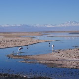 Salar-de-Atacama