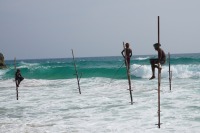 stilt-fishermen_Sri-Lanka