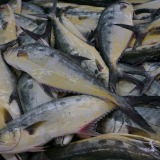 Fischmarkt_Mutrah