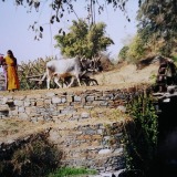Brunnen-bei-Ranakpur