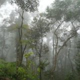 Mt-Kinabalu_Aufstieg